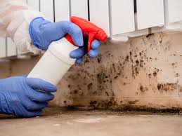 Trusted Big Lake, TX Mold Inspection Experts